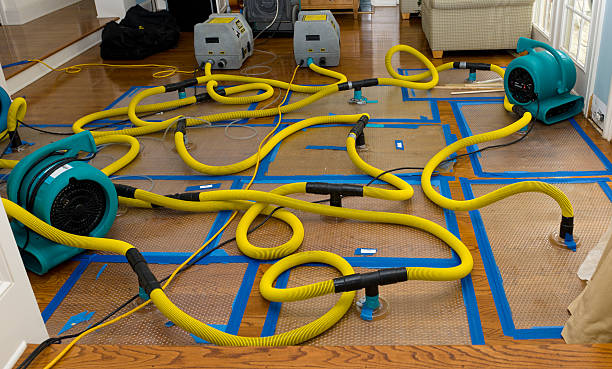 Professional Basement Flood Cleanup technician working in Dayton, IA